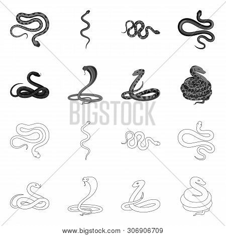 Vector Design Of Mammal And Danger Sign. Collection Of Mammal And Medicine Vector Icon For Stock.