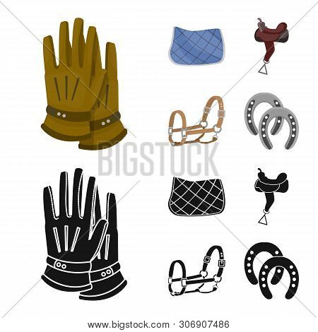 Vector Design Of Equipment And Riding Icon. Collection Of Equipment And Competition Vector Icon For 
