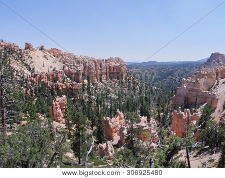 Red Rock Formations With Pine And Spruce Trees On The Valley Seen From The Lookout Of Farview Point 