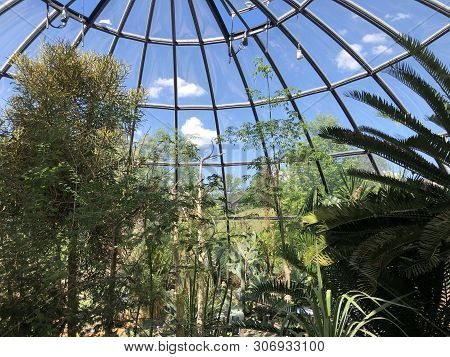 Tropenhaus, Trockengebiete - Botanical Garden Zurich Or Botanischer Garten Zuerich, Switzerland