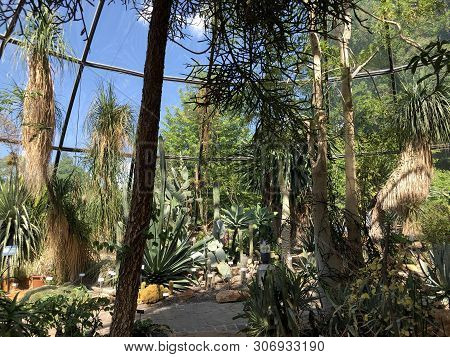 Tropenhaus, Trockengebiete - Botanical Garden Zurich Or Botanischer Garten Zuerich, Switzerland