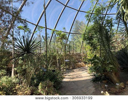 Tropenhaus, Trockengebiete - Botanical Garden Zurich Or Botanischer Garten Zuerich, Switzerland