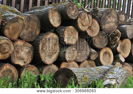 Pile Of Firewood. Preparation Of Firewood For The Winter And Use For Cooking, Firewood Background, S