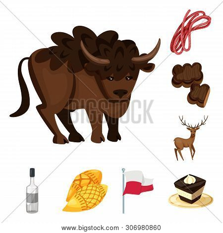 Vector Design Of Poland And Travel Sign. Set Of Poland And Europe Stock Symbol For Web.