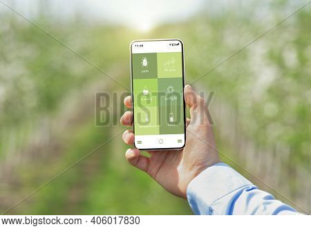 Futuristic Iot Technologies In Agriculture, Smart Garden. Agronomist Using Cellphone To Monitor Plan