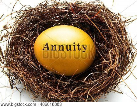 Golden Annuity Egg In A Bird's Nest, On White