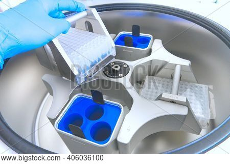 Scientist Puts The Test Tubes In Centrifuge. Automation In The Clinical Laboratory. Pipetting Robot 