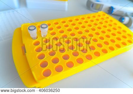 Laboratory Tests For Viral Infections. Coronavirus Ncov, Mers-cov Respiratory Syndrome Coronavirus. 