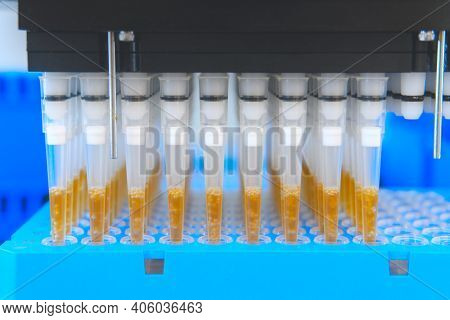 Automation In The Clinical Laboratory. Pipetting Robot Laboratory. Medicine Robotics. Research And S