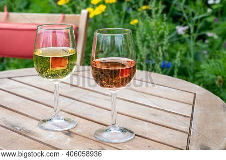 Tasting Of Dutch Sparkling Rose And Dry White Wine On Vineyard In Summer