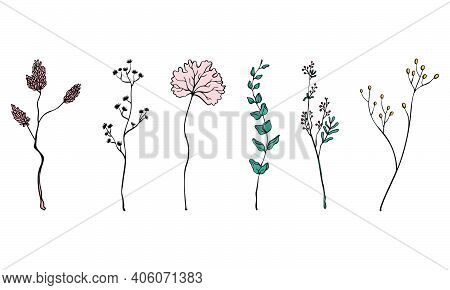 Vector Floral Set Branches And Leaves. Floral Elements For Minimalist Card Or Logo Design