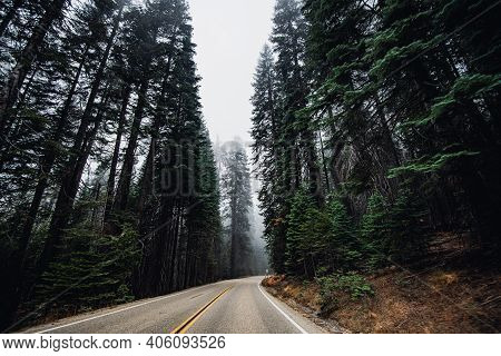 Road Curve On The Way To Sequoia National Park