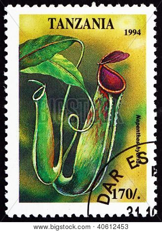 Francobollo Tanzania 1994 Monkey Cup, Nepenthes Hybrida, pianta