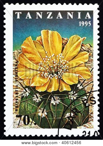 Timbre-poste Tanzanie 1995 Weingartia Fidaiana, fleur de Cactus