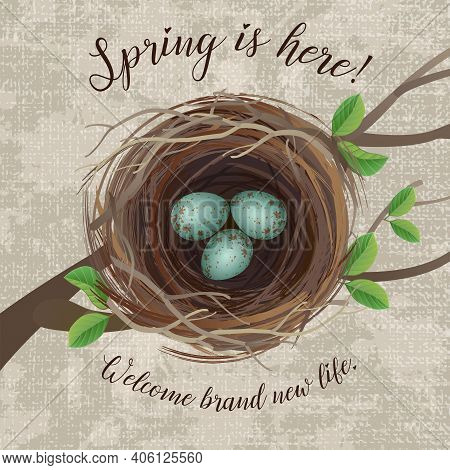 Vector Illustration Of Realistic Bird's Nest With Blue Speckled Eggs, With Message For Arrival Of Sp
