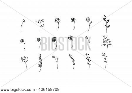 Simple Set Floral Illustration In Line Style. Vector Flowers And Leaves In Black And White