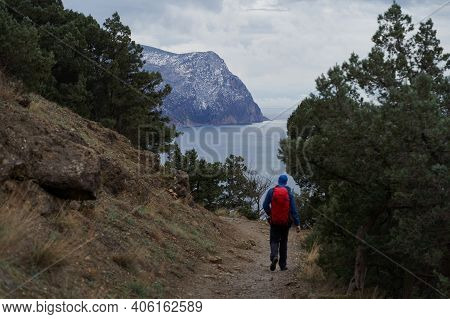 Trekker Is Walking Through The Rocky Winter Forest Near Coastline.