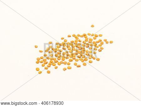 Pile Of Eggplant Or Aubergine Seeds In Plastic Container Isolated On White Background