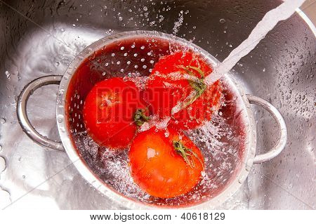 Verduras frescas