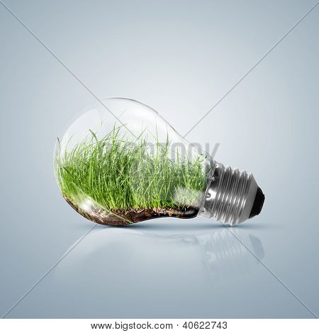 ECOLOY ábra-lámpa izzó, tiszta természet és a megújuló energiaforrások jelet belül