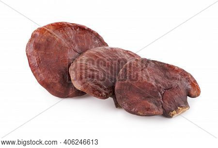 Lingzhi Mushroom Ganoderma Lucidum Isolated On White Background