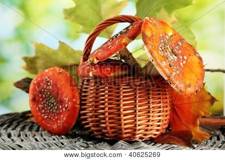 červené amanitas v koši, na zeleném pozadí