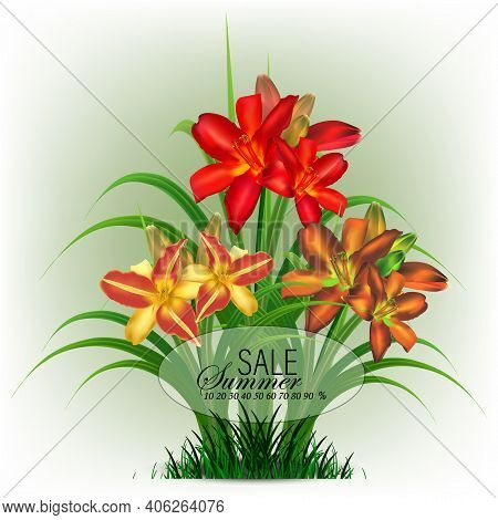 Hello Summer, Vector Illustration Set Of Daylily With Red, Orange, Brown Delicate Flowers And Green 
