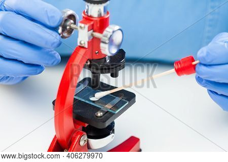 Lab Technician Or Medical Scientist Inspecting Collected Patient Swab Sample Specimen Under Microsco