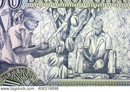 Cocoa Harvest From Old Ghanaian Money - Cedi