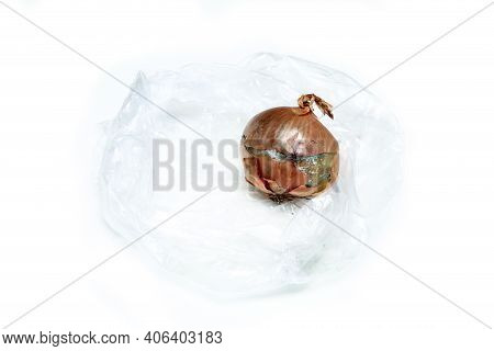 The Picture Of A Mouldy Onion Because Of The Wrong Storage In Hdpe Sack. Rotten And Uneatable. Isola