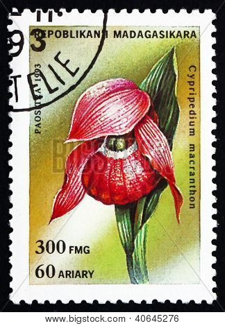 Postage stamp Malagasy 1993 Cypripedium Macranthon, Orchid