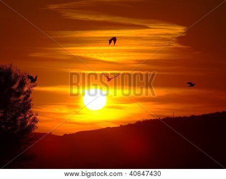 Puesta de sol