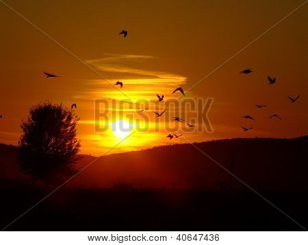 Puesta de sol