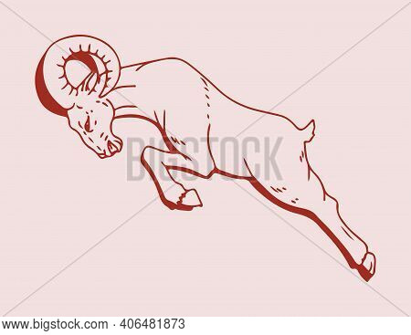 Sketch Of Indian Big Horn Sheep Or Goat Outline Editable Illustration