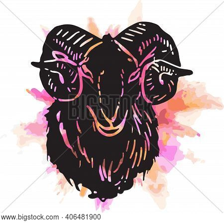 Sketch Of Indian Big Horn Sheep Or Goat Outline Editable Illustration