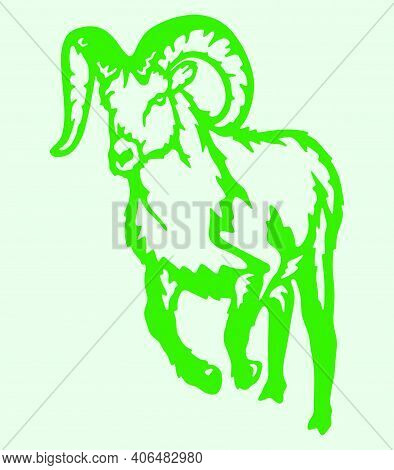 Sketch Of Indian Big Horn Sheep Or Goat Outline Editable Illustration