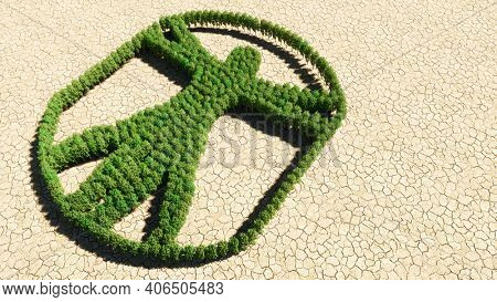 Concept or conceptual group of green forest tree on dry ground background, sign of  vitruvius man. A 3d illustration metaphor for architecture, renaissance, anthropology and physiology