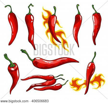 Collection of hand drawn chili peppers. Super hot red chilli peppers. Red isolated spicy mexican peppers on white background. Natural healthy food. Spicy ingredient