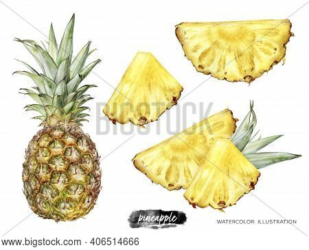 Pineapple Set Watercolor Illustration Isolated On White Background