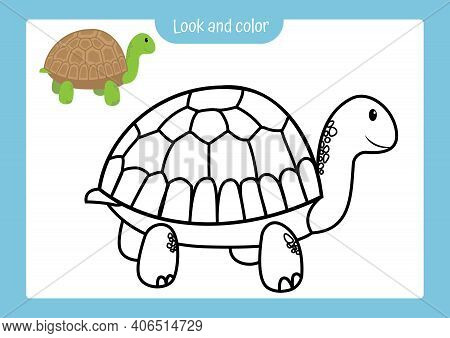 Look And Color. Coloring Page Outline Of Turtle With Colored Example. Vector Illustration, Coloring 