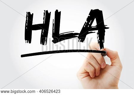 Hla - Human Leukocyte Antigen Acronym With Marker, Medical Concept Background