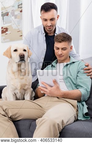 Happy Same Sex Couple Looking At Digital Tablet Near Dog In Living Room.
