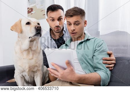 Surprised Same Sex Couple Looking At Digital Tablet Near Dog In Living Room.
