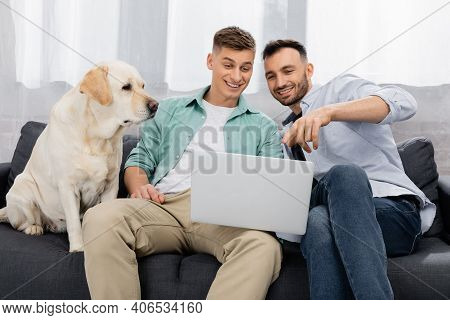 Happy Same Sex Couple Watching Movie On Laptop Near Dog In Living Room.