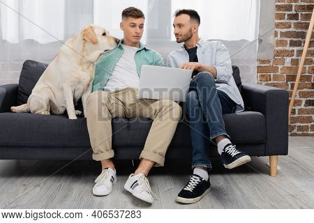 Same Sex Couple Watching Movie On Laptop Near Dog In Living Room.