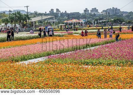 Daxi, Taiwan - November 15th, 2019: tourists walk at the garden in Daxi event of Taoyuan Flower Festival in Taoyuan, Taiwan, Asia