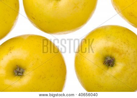 Apple Fruits