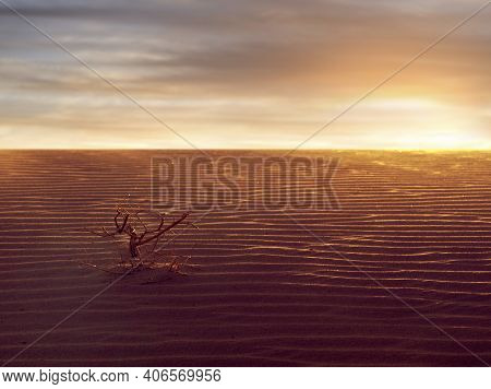 View Of Nice Sands Dunes During Sunset At Sands Dunes National Park