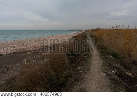 View Of The Natural Reserve Of Plants And Birds La Marjal Els Moros In The Town Of Puzol In Spain. N
