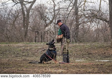 30.01.2021 Russia Krasnodar, Training For Protection Of Gray German Shepherd Working Breeding. Male